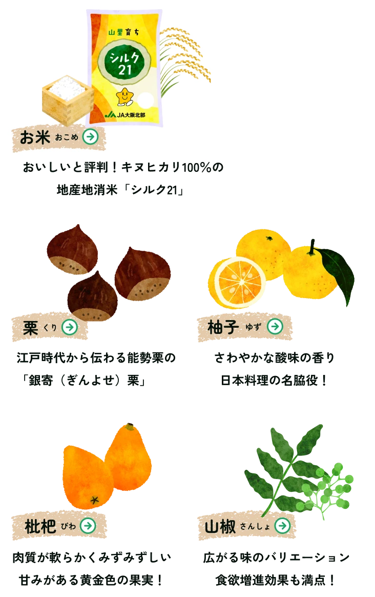 JA大阪北部の特産物（お米、栗、柚子、枇杷、山椒）