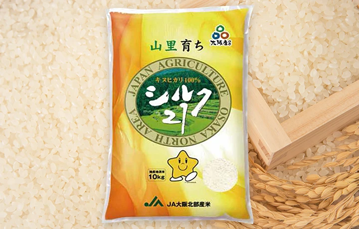 シルク21
