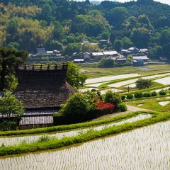 JA大阪北部のご案内