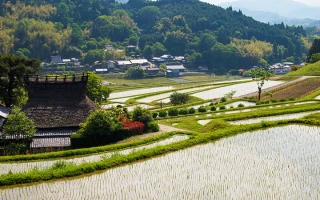 JA大阪北部のご案内