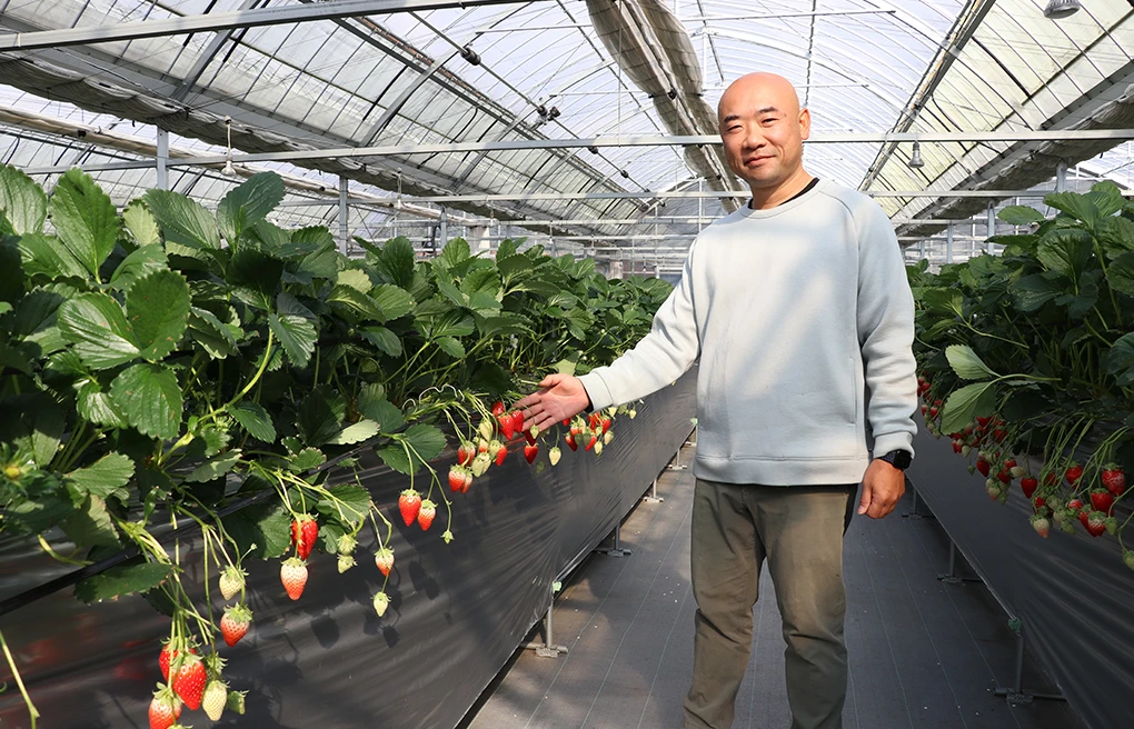 いけだのいちご狩り屋さん 秦 寛房実さん