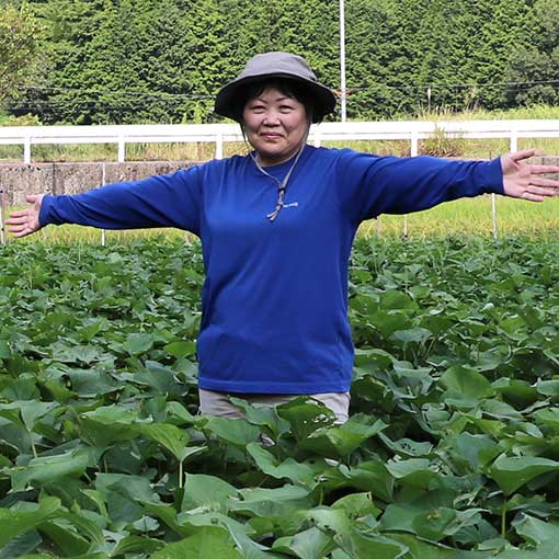 高来 三和子さん