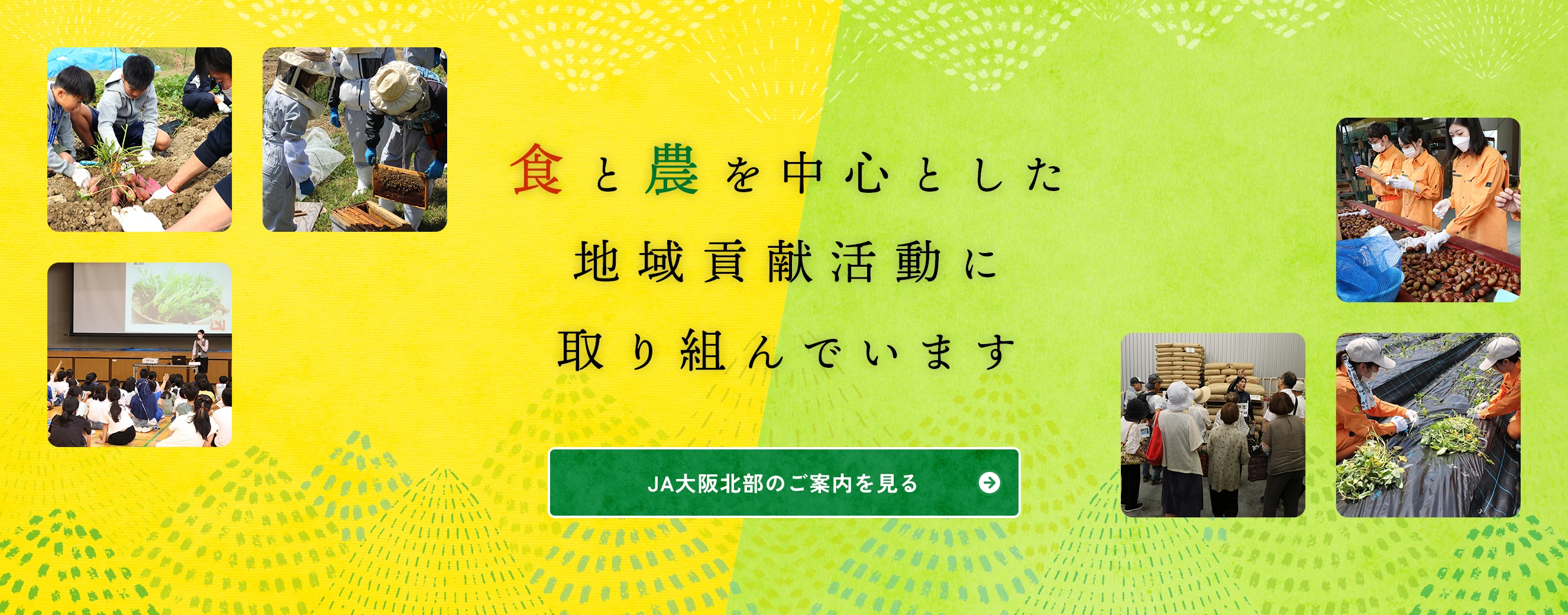 食と農を中心とした地域貢献活動に取り組んでいます